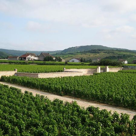 Bed and Breakfast Chateau De Chassagne-Montrachet Екстер'єр фото