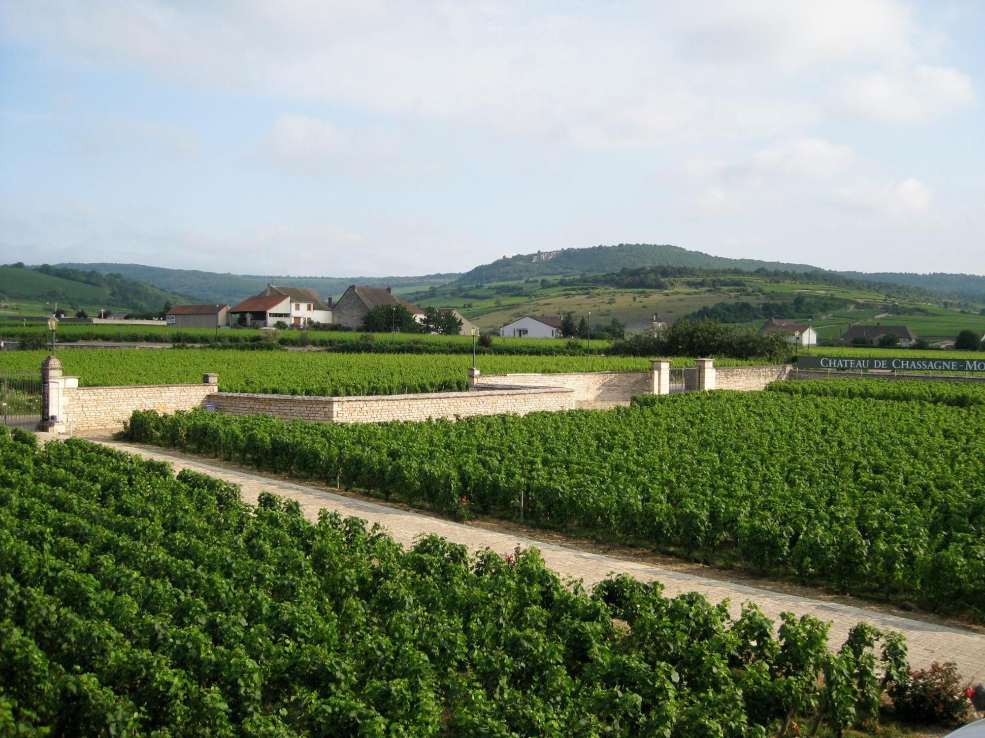 Bed and Breakfast Chateau De Chassagne-Montrachet Екстер'єр фото