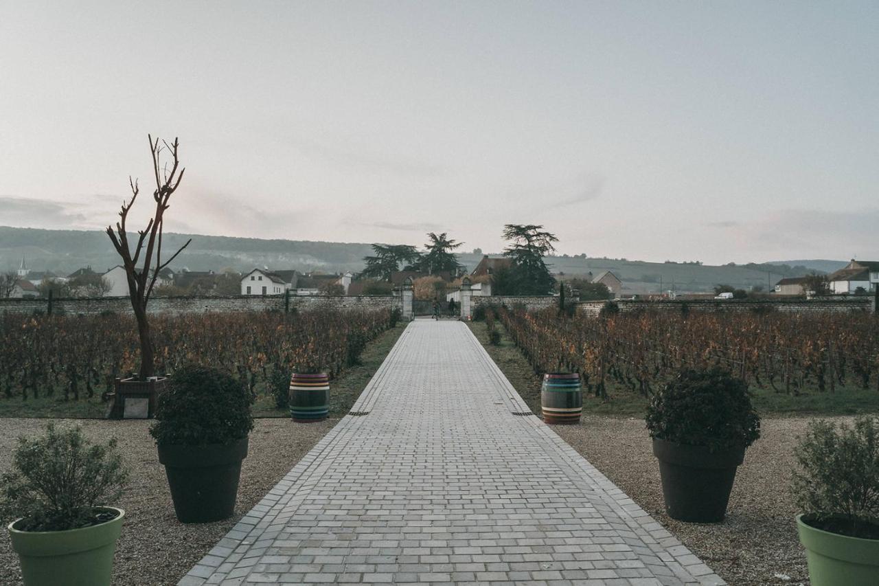 Bed and Breakfast Chateau De Chassagne-Montrachet Екстер'єр фото